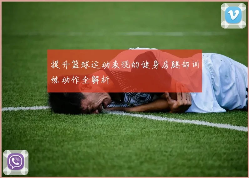 提升篮球运动表现的健身房腿部训练动作全解析